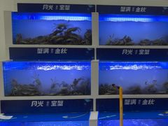 -蟹状元大闸蟹·年货·粽子(成都成华店)