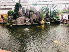 -汤山翠谷生态餐厅