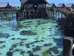 -卡帕莱度假村(西巴丹岛)