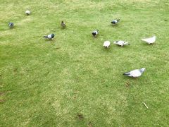 -白鹭洲公园