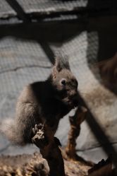 -Zoolung Zoolung动物主题公园(海信广场店)