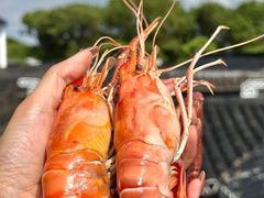 -小陆莲花蟹园农家乐(莲花岛店)