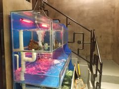 景观位-臻鲜燕海鲜融合餐厅(金陵style店)