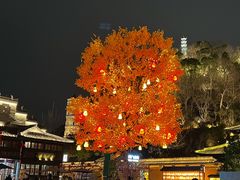 -紫阳古街