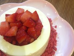 -柴务处·柴犬主题狗咖