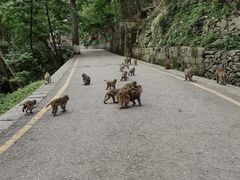 -黔灵山公园-南门售票处