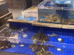 -乔家小院•本地小海鲜•非遗驴肉(万年泉路店)