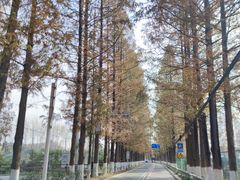 -武汉世外桃源农庄