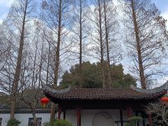 -上海醉白池公园