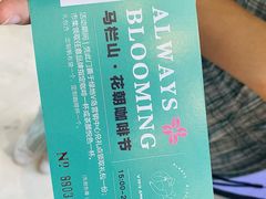 -马栏山视频文创产业园