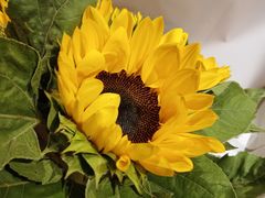 -舒家大院重庆老火锅(纪念塔店)