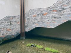 -几荷·恰似故人来(秀水广场店)
