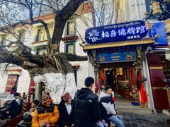 -古树酸奶(八廓南街店)