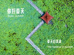 -荷花荡