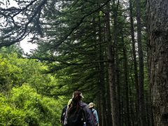 -驼梁风景区