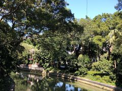 -荔湾湖公园