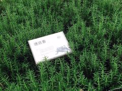 -上海多利农业发展有限公司