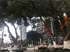 -泸州泸舍酒店(江阳区水井沟步行街店)