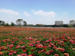 -映月湖中央公园