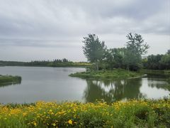-东郊湿地公园