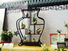 -龙大花卉苗木市场