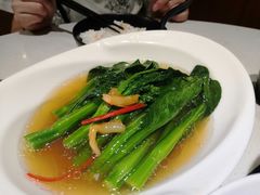 -新仙清汤牛腩(铜锣湾店)