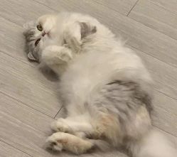 -Beauty Nails 美甲美睫皮肤管理