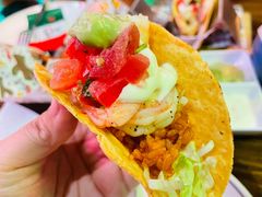 -Famous肥猫墨西哥音乐餐吧(五棵松华熙LIVE店)