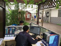 -田园东方蜜桃村的田野营地