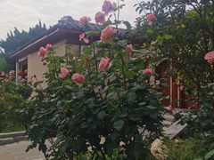 -洛阳古墓博物馆