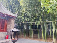 -罔极寺
