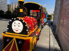 -上海崇明金茂凯悦酒店