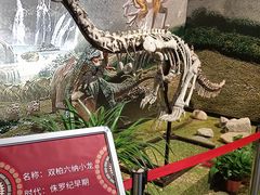 -北京周口店北京人遗址博物馆