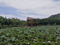 -李小龙乐园(顺德均安店)