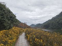 -广州市石门国家森林公园