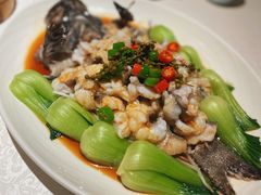 味淋鲜花椒龙趸-维园悦谱·海派家常菜(乌鲁木齐南路店)