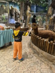 -宝燕乐园(闵行旗舰店)