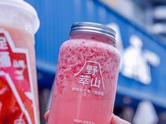 -野萃山·潮汕厚果汁(十亩地店)