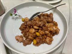 -丁老爷子苏香圆
