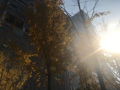 -瑞幸咖啡(艺树家工场店)