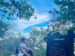 -阳台山自然风景区