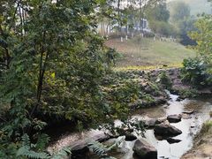 -重庆彩云湖湿地公园