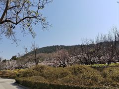 -云龙湖旅游景区