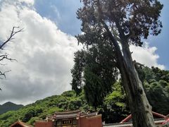 -灵光寺