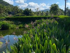 -三亚南山文化旅游区