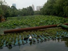 -月牙潭公园