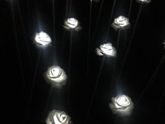 -福州仓山凯悦酒店·Market Cafe Lacucina咖啡厅