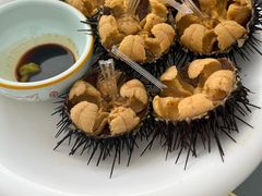 -日丰园海肠水饺·老字号大连海鲜(小平岛总店)