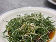 -金陵新城饭店