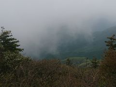 -牛背梁国家森林公园